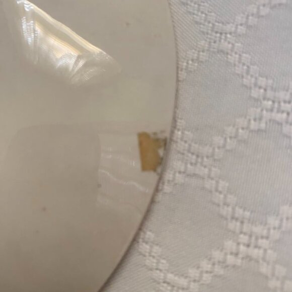 South Wales Falcon Ware Decorative Map Plate - Picture 8 of 10